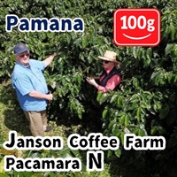 生豆 Panama Janson Coffee Farm Pacamara N 100g