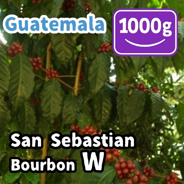 生豆 Guatemala San Sebastian Bourbon W 1000g