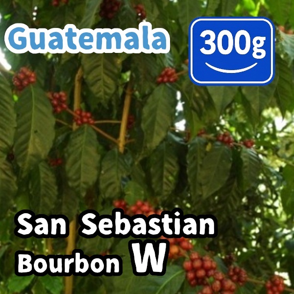 生豆 Guatemala San Sebastian Bourbon W 300g