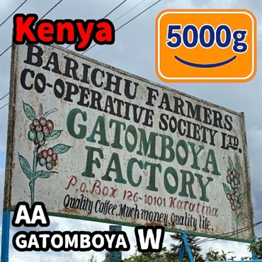 生豆 Kenya AA GATOMBOYA W 5000g