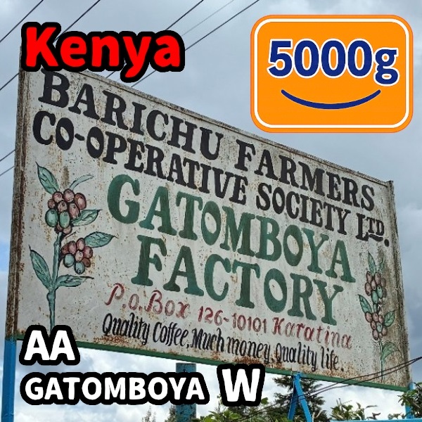 生豆 Kenya AA GATOMBOYA W 5000g