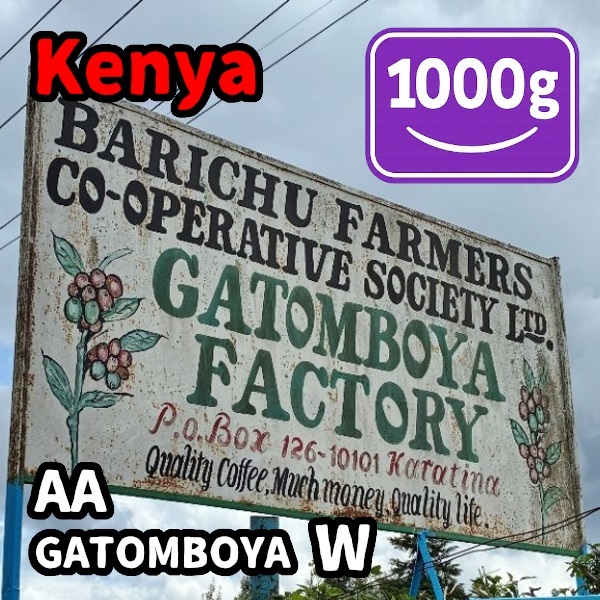 生豆 Kenya AA GATOMBOYA W 1000g