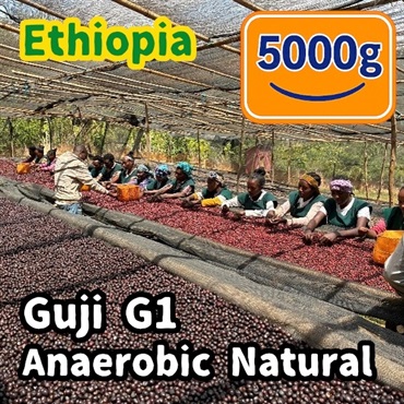 生豆 Ethiopia Guji G1 Anaerobic Natural 5000g