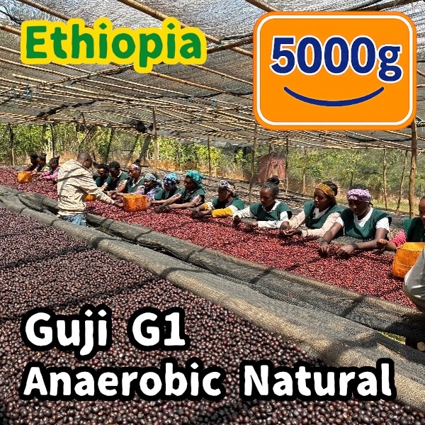 生豆 Ethiopia Guji G1 Anaerobic Natural 5000g