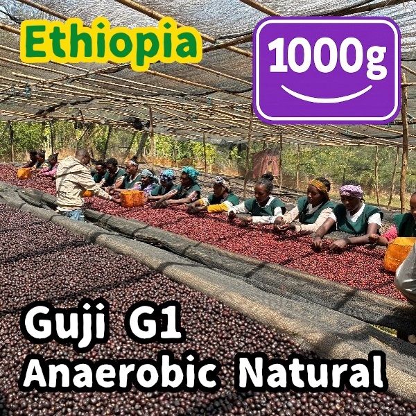 生豆 Ethiopia Guji G1 Anaerobic Natural 1000g