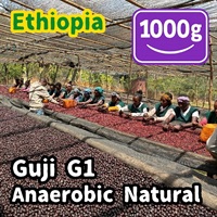 生豆 Ethiopia Guji G1 Anaerobic Natural 1000g
