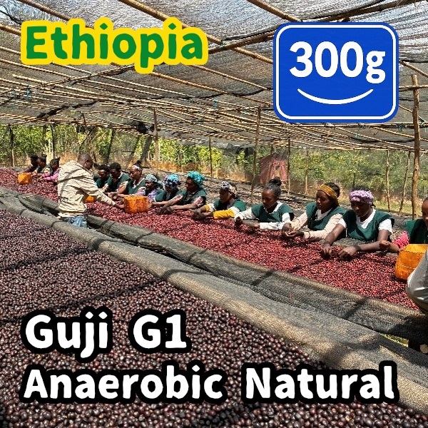 生豆 Ethiopia Guji G1 Anaerobic Natural 300g