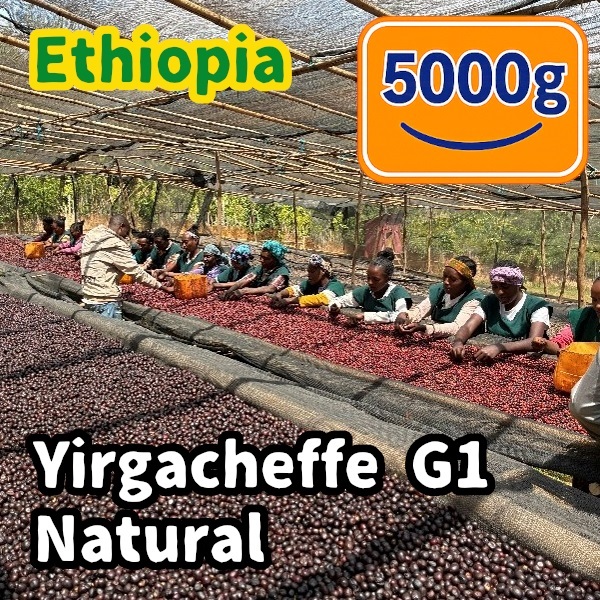 生豆 Ethiopia Yirgacheffe G1 Natural 5000g