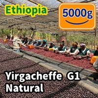 生豆 Ethiopia Yirgacheffe G1 Natural 5000g